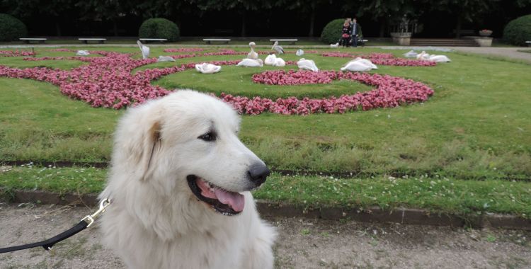 Im Berliner Zoo