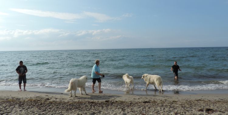 Besuch an der Bernsteinbucht