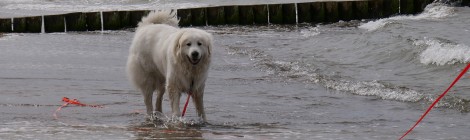 Urlaub an der Ostsee