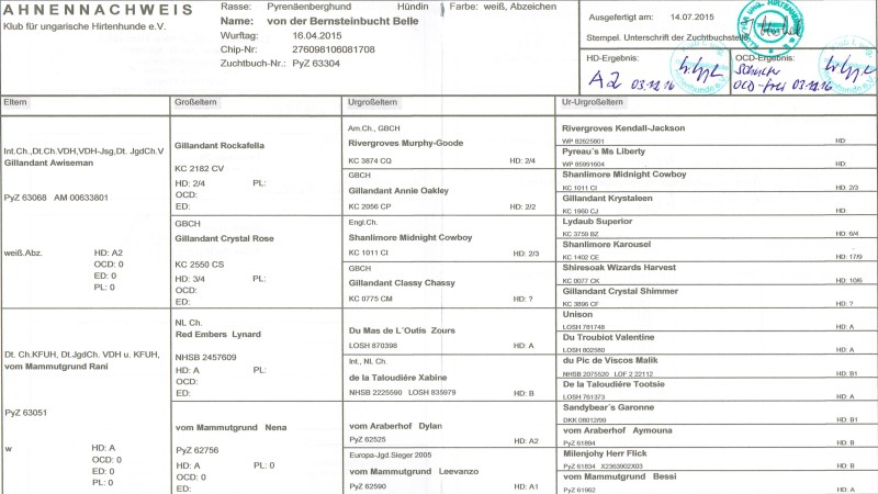 Tabelle mit den Elterntieren vier Genearationen