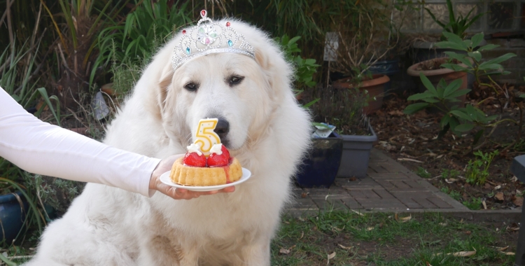 Mein fünfter Geburtstag