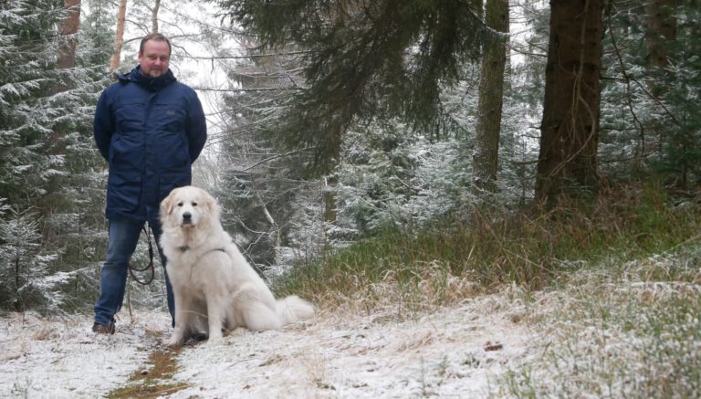 erster Schnee am Lohbergenweg