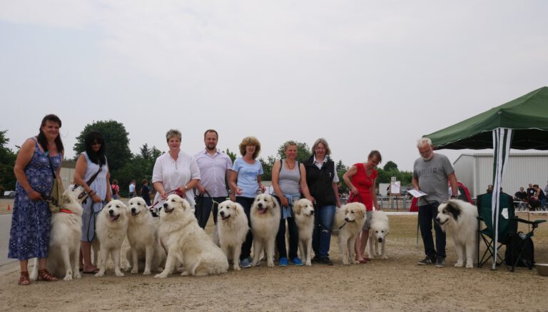 Internationale Rassehundeausstellung Neumünster 2018