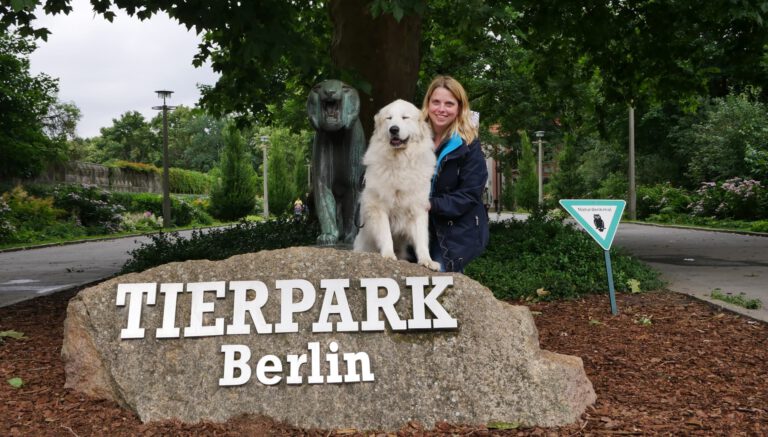 Belle im Tierpark