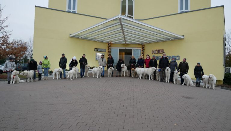 Weihnachtsfeier unserer Landesgruppe 3 des KfUH