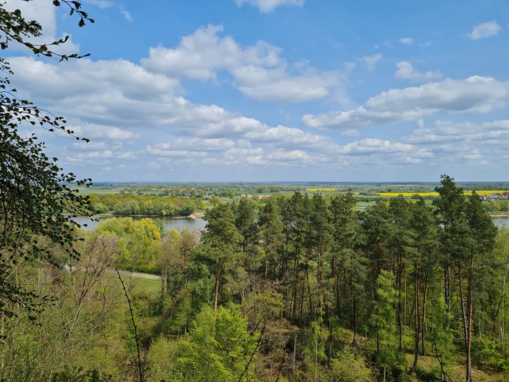 Anbaden in der Elbe - Elbe von weitem