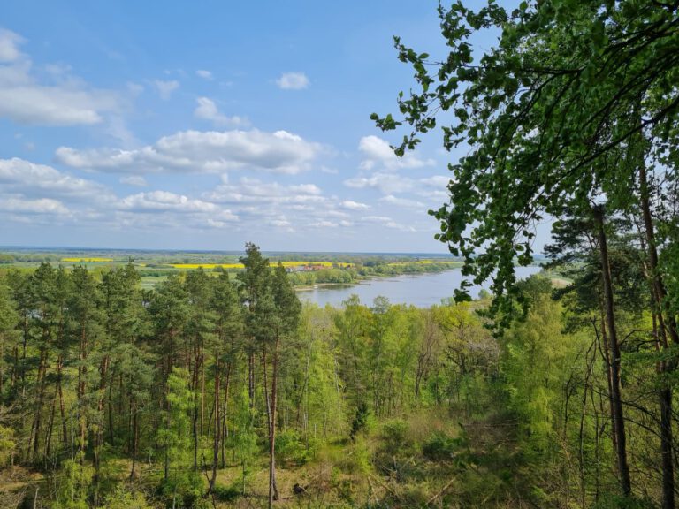 Anbaden in der Elbe